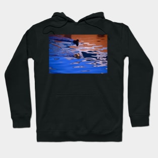 Küken in rot blauem Wasser / Swiss Artwork Photography Hoodie